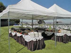 yOut Door Catering castleinchvenue Kilkenny